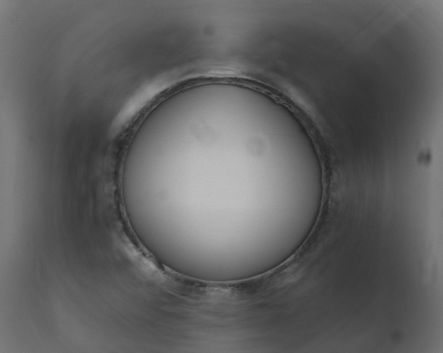 X0000110731456200906261507