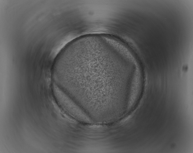 X0000110731457200906261507