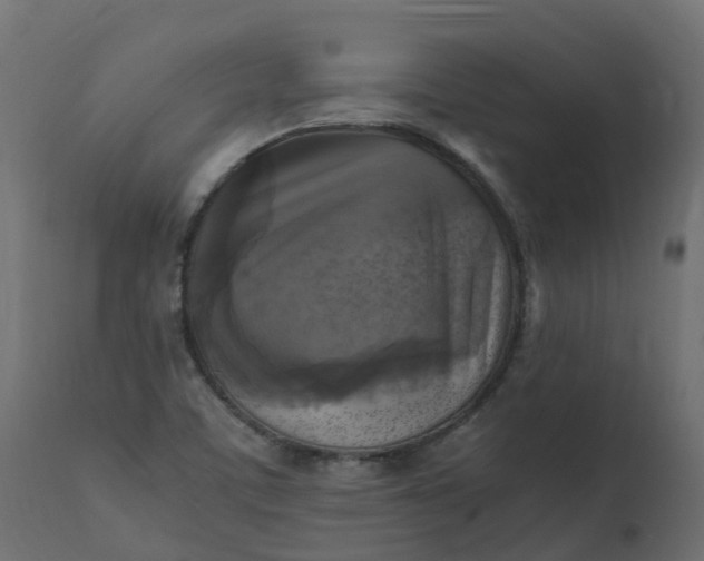 X0000110731459200906261507