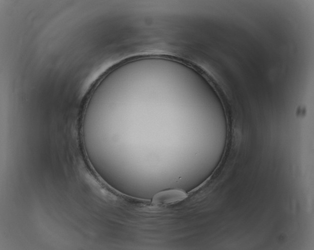 X0000110731460200906261507