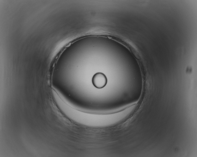 X0000110731461200906261507