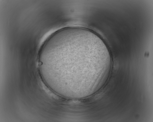 X0000110731462200906261507