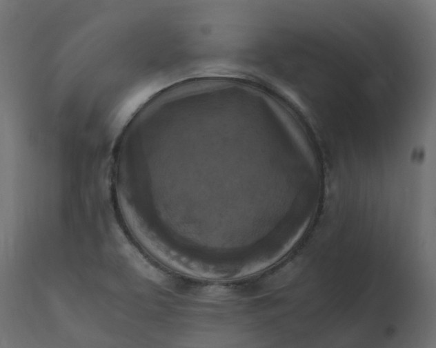 X0000110731463200906261507