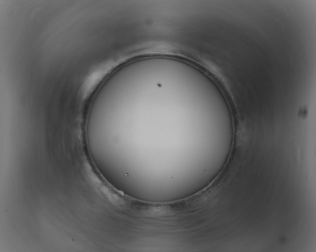 X0000110731464200906261507