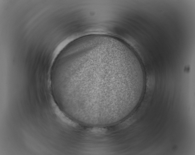 X0000110731466200906261507