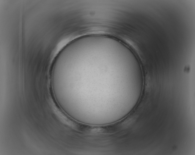 X0000110731467200906261507