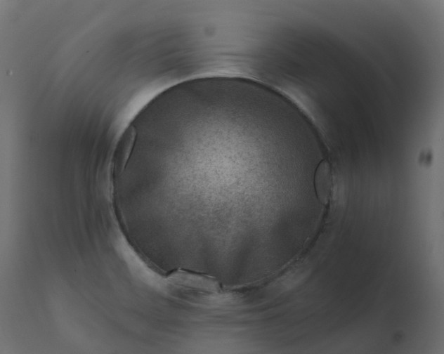 X0000110731468200906261507