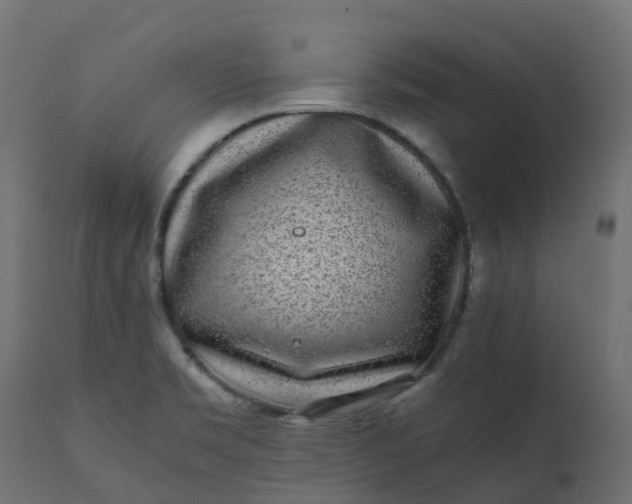 X0000110731469200906261507