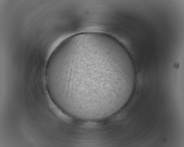 X0000110731470200906261507