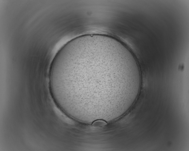 X0000110731471200906261507