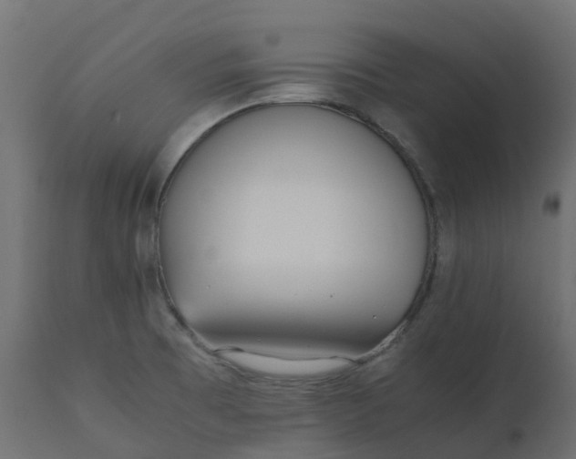 X0000110731473200906261507