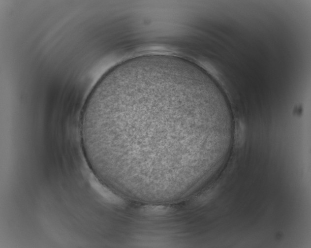 X0000110731474200906261507