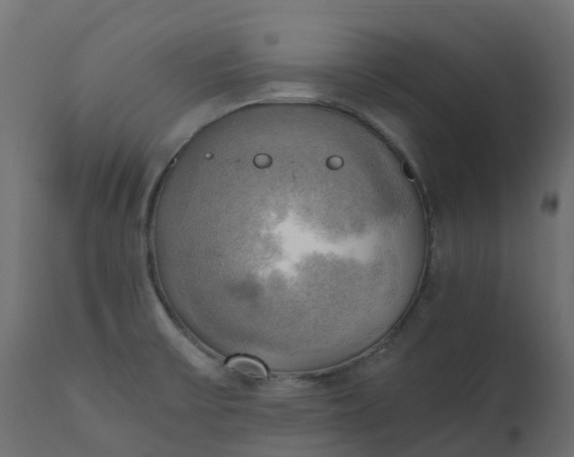 X0000110731475200906261507