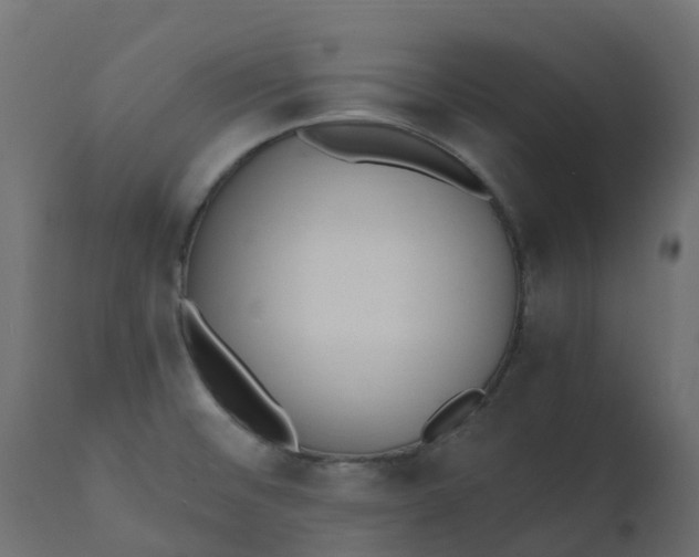 X0000110731476200906261507