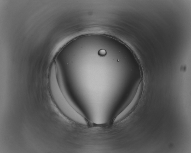 X0000110731477200906261507