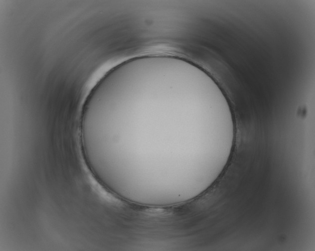 X0000110731478200906261507