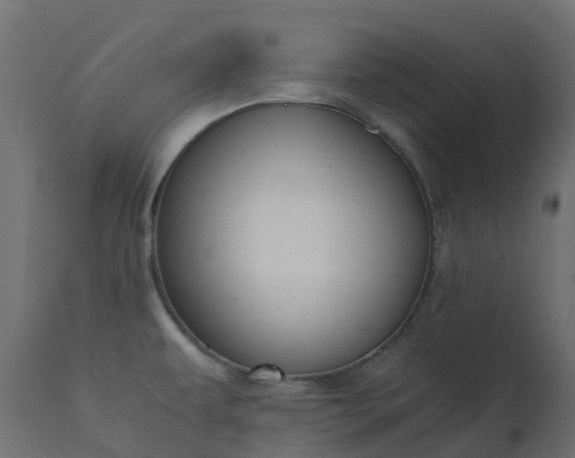 X0000110731479200906261507