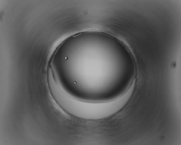 X0000110731480200906261507