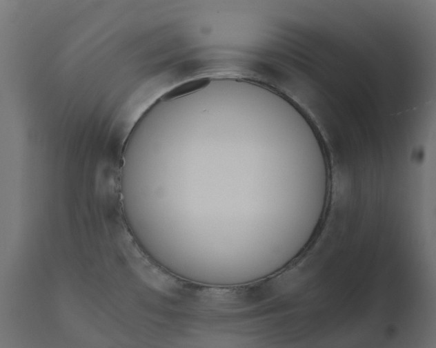 X0000110731481200906261507