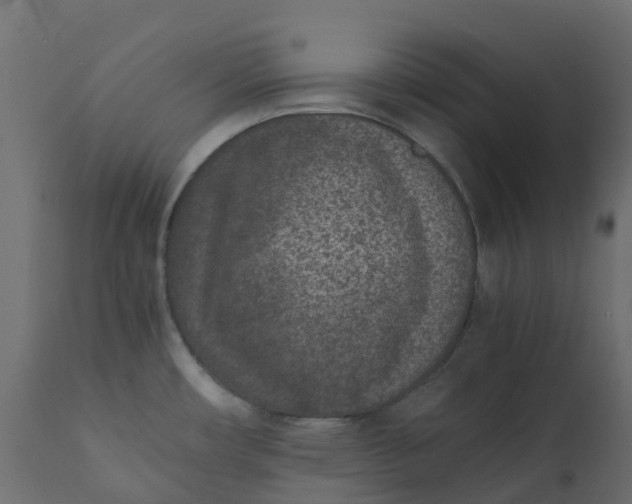 X0000110731482200906261507