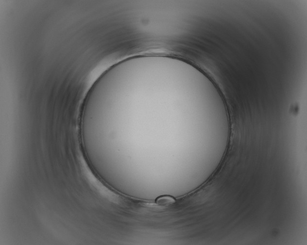 X0000110731483200906261507