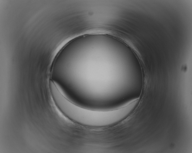 X0000110731484200906261507