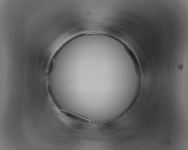 X0000110731485200906261507