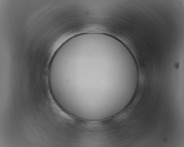 X0000110731486200906261507