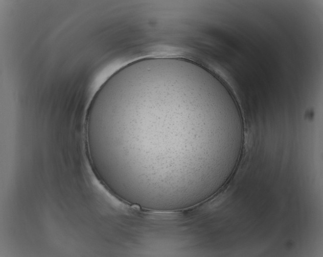 X0000110731487200906261507