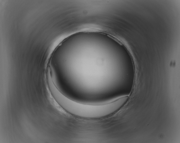 X0000110731488200906261507