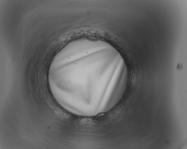 X0000110731489200906261506