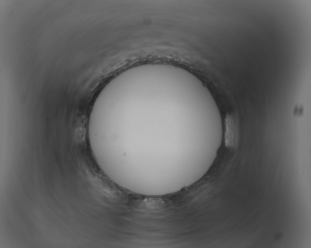 X0000110731491200906261506