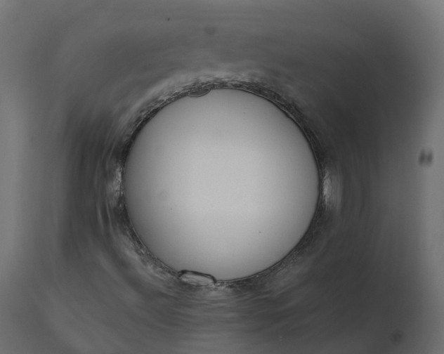 X0000110731492200906261506