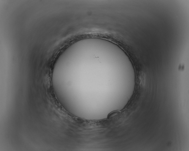 X0000110731493200906261506