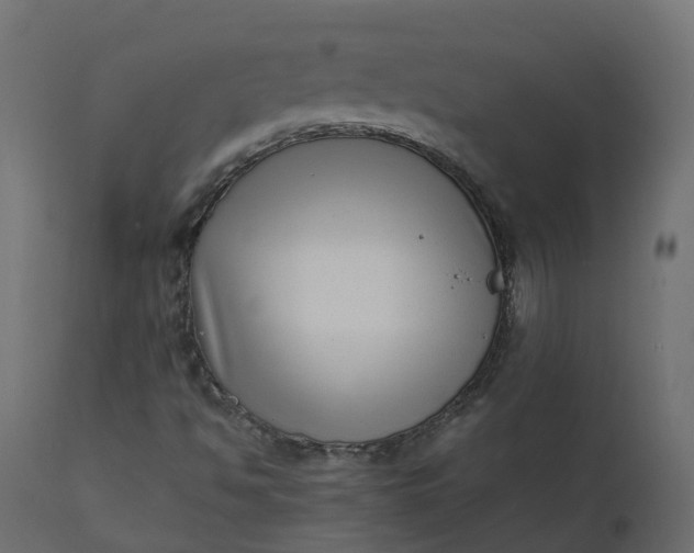 X0000110731494200906261506