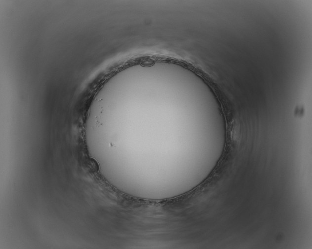 X0000110731495200906261506