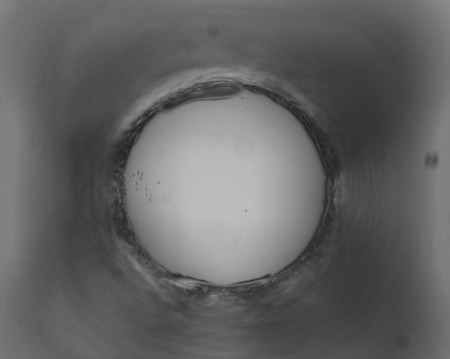 X0000110731496200906261506