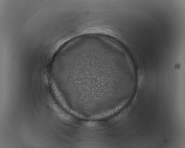 X0000110731497200906261506