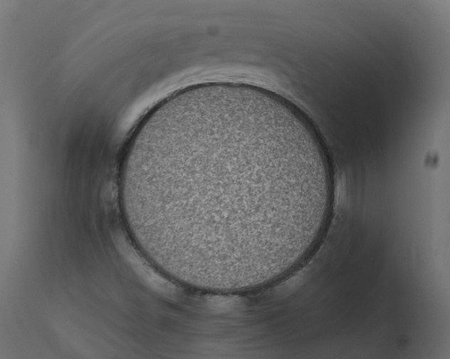 X0000110731498200906261506