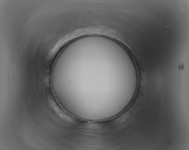 X0000110731499200906261506