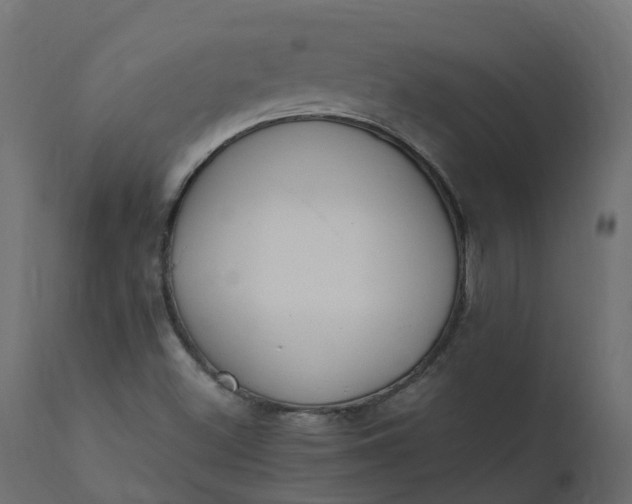 X0000110731500200906261506