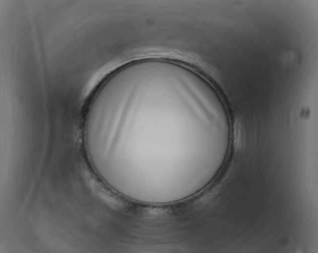 X0000110731501200906261506