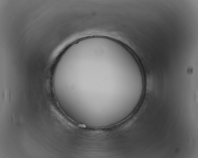 X0000110731502200906261506