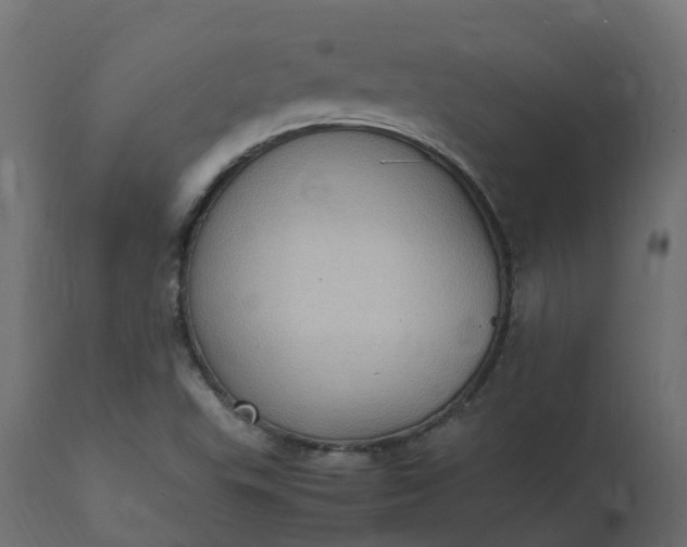 X0000110731503200906261506