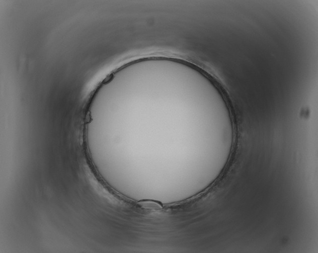 X0000110731504200906261506