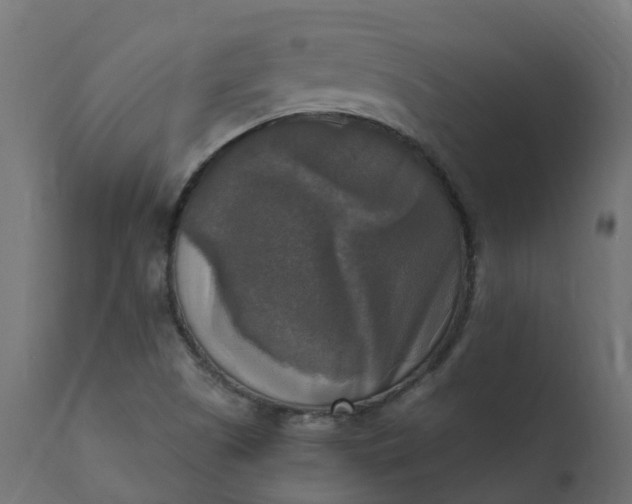 X0000110731505200906261506