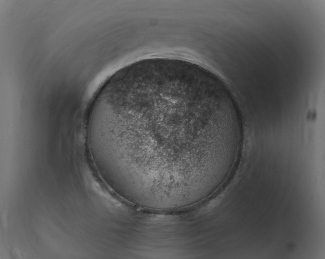 X0000110731506200906261506