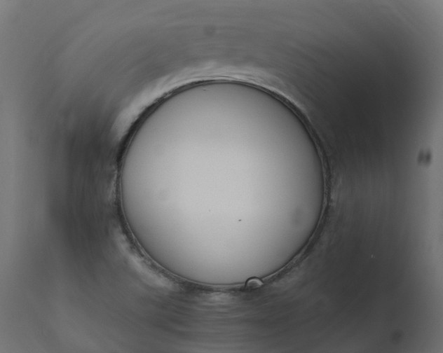 X0000110731507200906261506