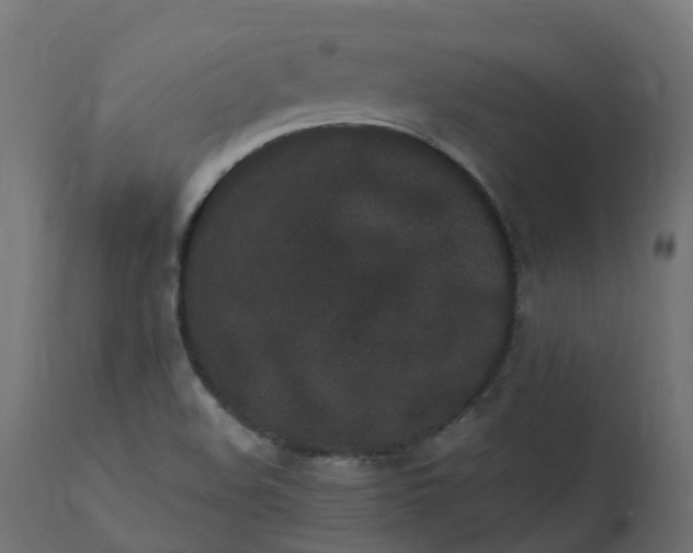 X0000110731508200906261506