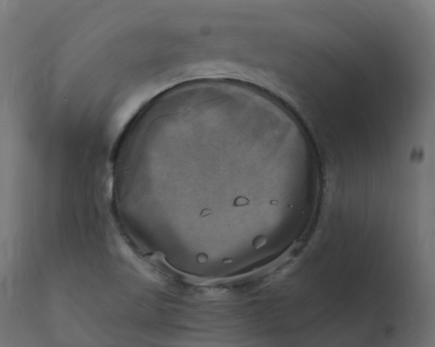 X0000110731509200906261506